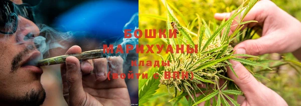apvp Гусь-Хрустальный
