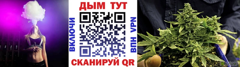 Бошки Шишки планчик  Королёв 